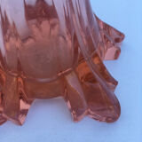 Praticality rose