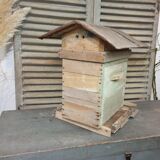 Ancient hive