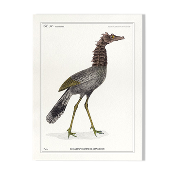 Lithograph chimeric engraving animal - the cariapocampus