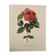 Aquarelle sur la rose - 1960