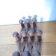 Coat door accordion