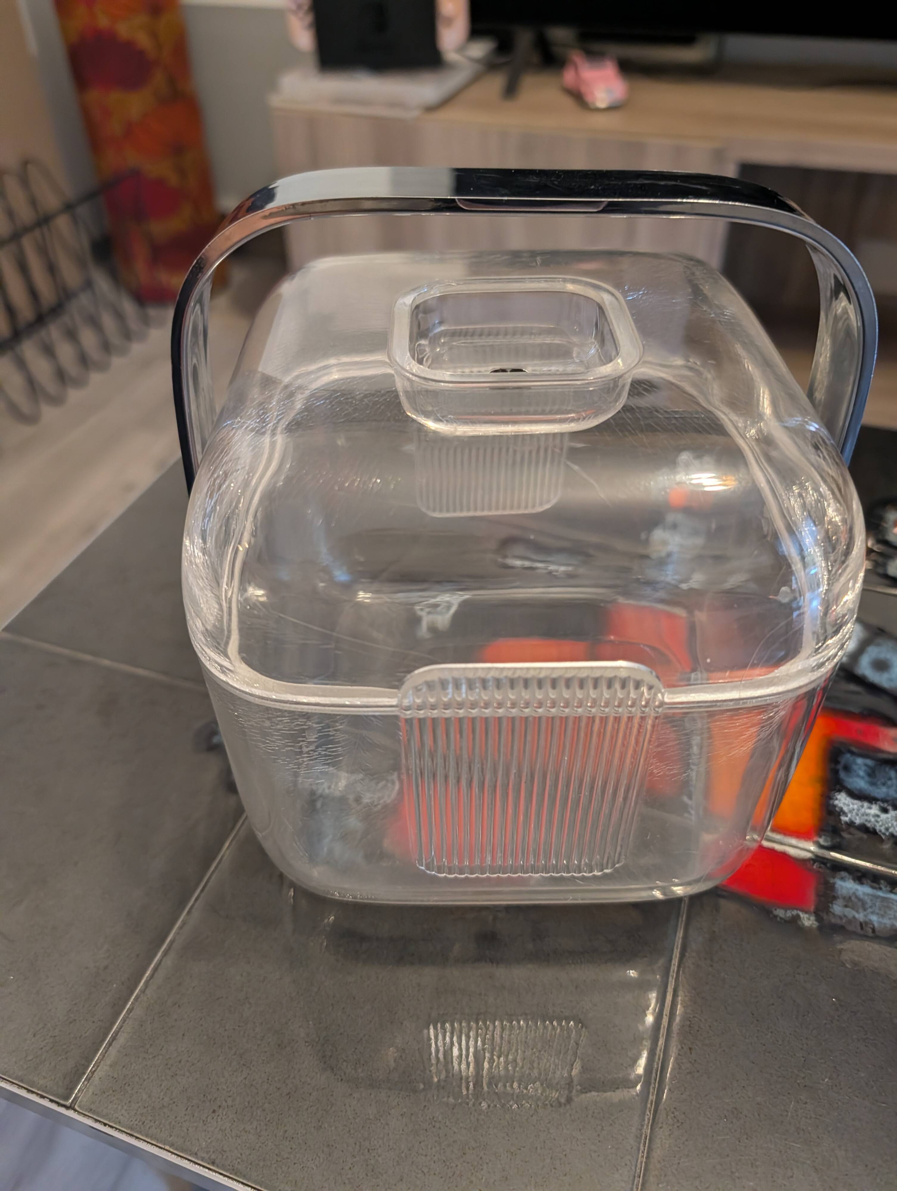 Guzzini ice bucket and its spoon