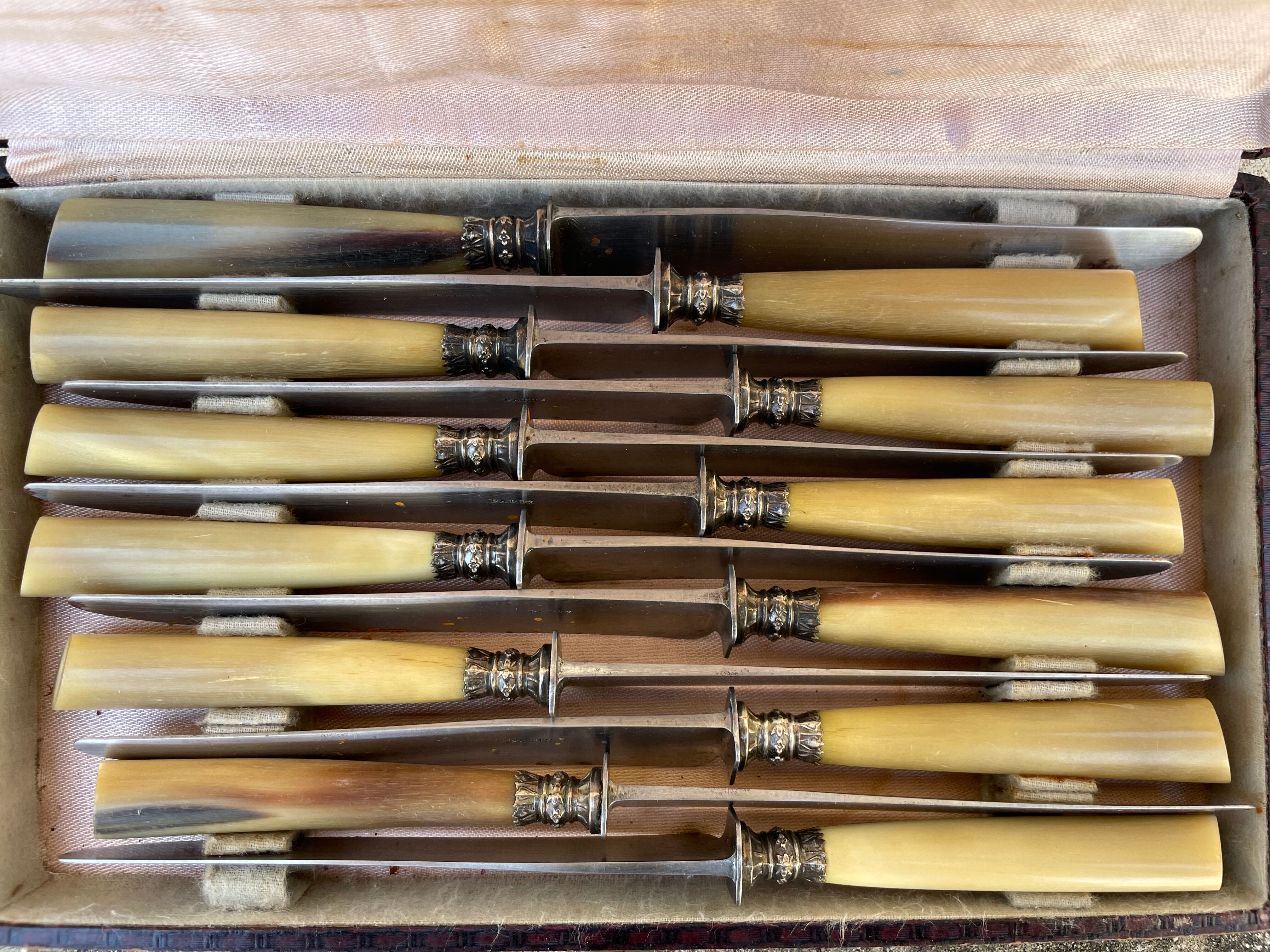 Lot of old horn knives late nineteenth early twentieth Paris