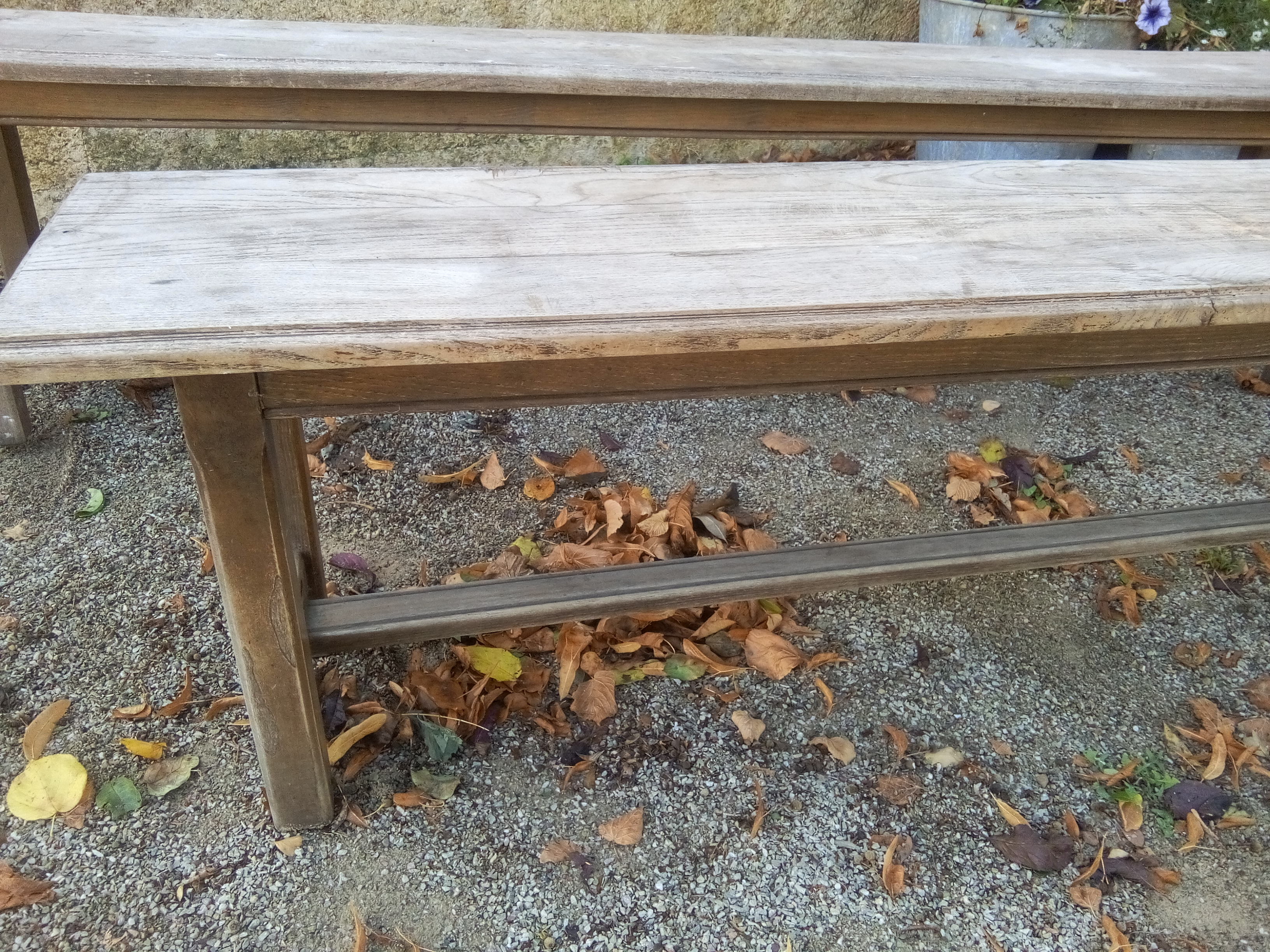 Pair of oak benches
