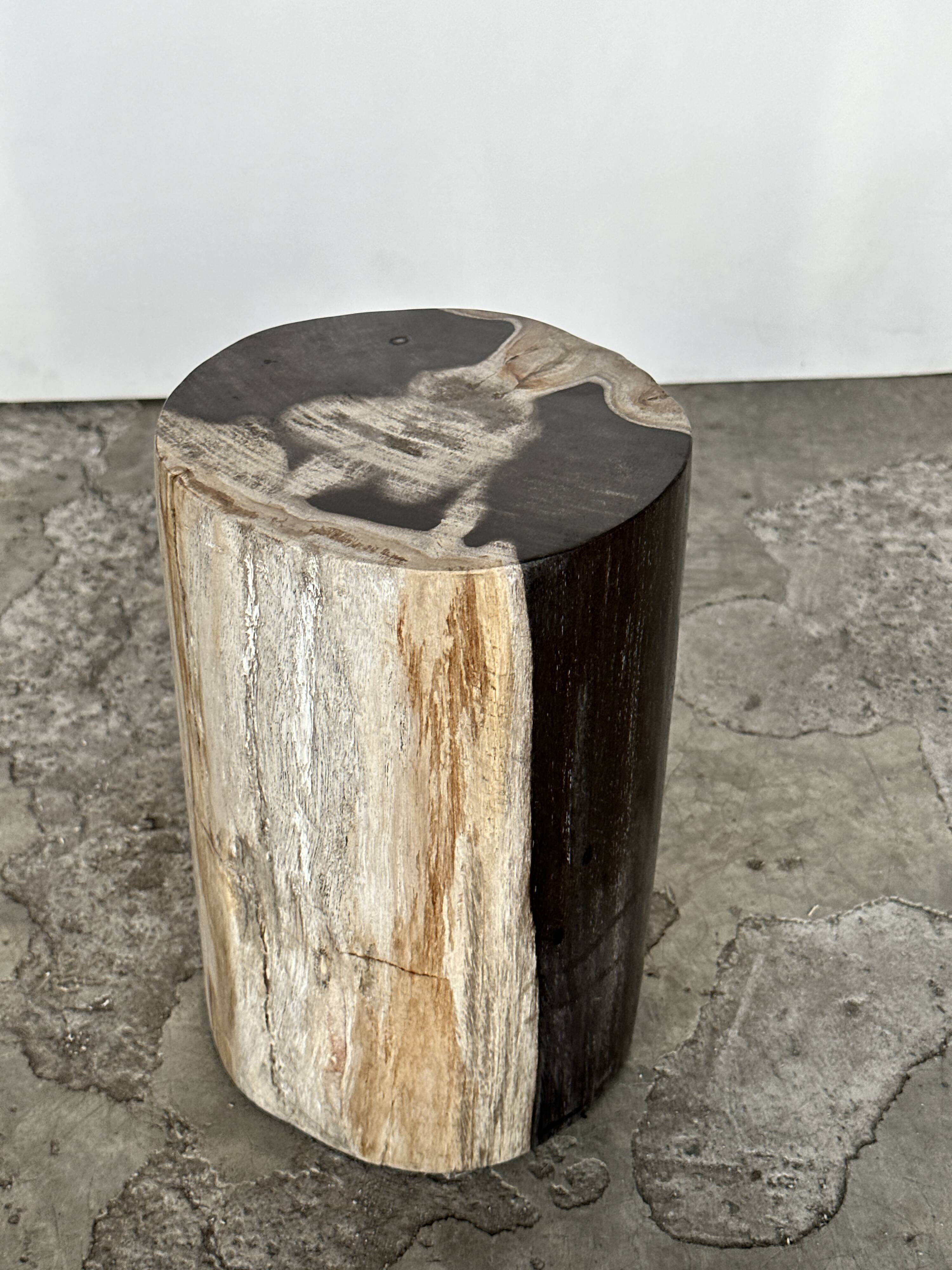 Small black, white and gray petrified wood side table H28cm D:18.5