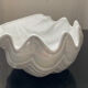 Empty vintage pocket ceramic shell