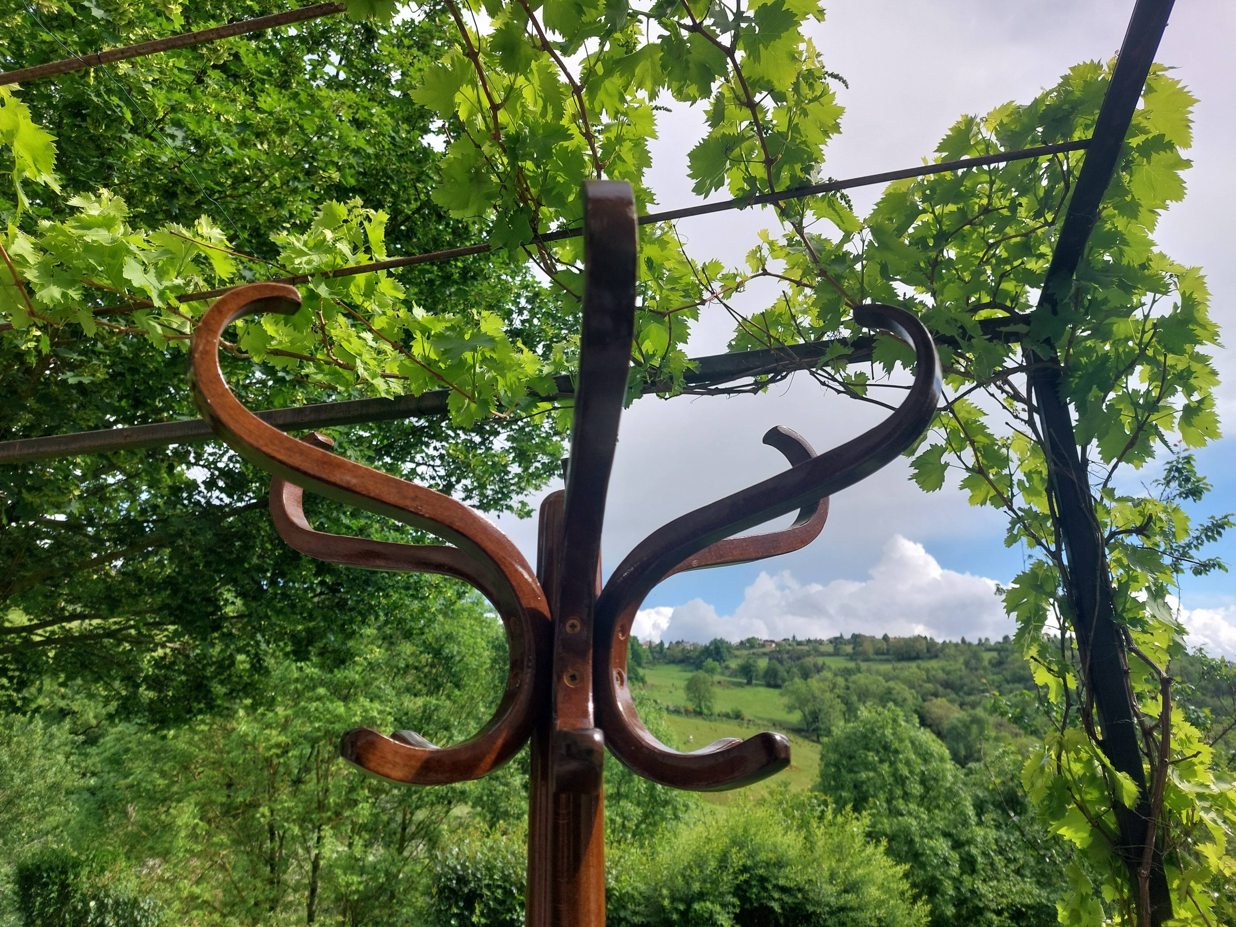 dark-coloured wooden coat rack parrot