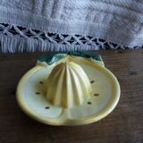 Citrus press lemon in slurry