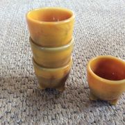 Series of 4 cockroaches