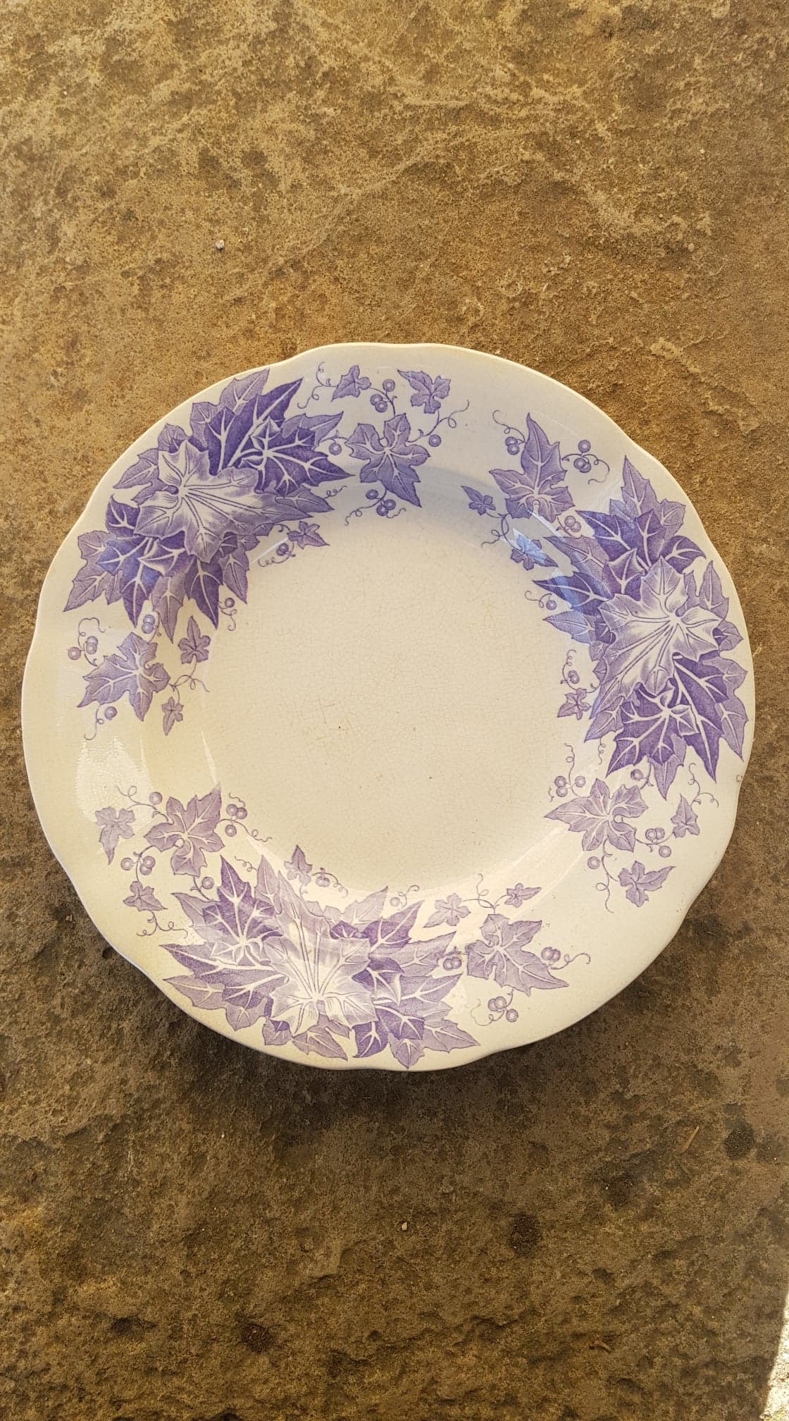 Set of 6 plates Sarreguemines model Bryonia