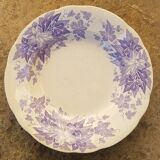 Set of 6 plates Sarreguemines model Bryonia