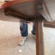 Charles X period pedestal table.