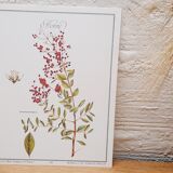 Botanical board Henna