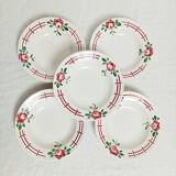 Set de 5 assiettes creuses Digoin Castille