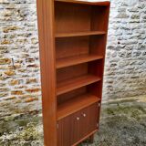 Vintage library