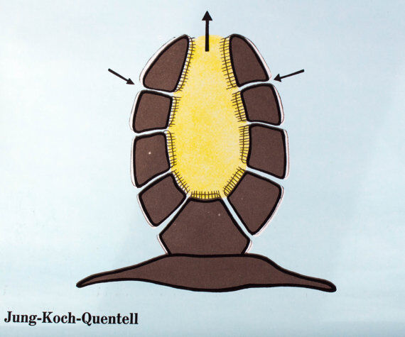 Wall poster of the school by Jung-Koch-Quentell "water sponges" 1972