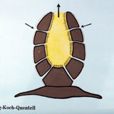 Affiche murale de l’école par Jung-Koch-Quentell "eau éponges" 1972