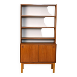 Scandinavian bookcase with cabinet
