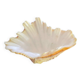 Empty shell stoup pocket