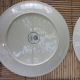 Lot of 6 plates Acapulco Villeroy - Boch