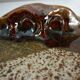 Vegetable dish, covered pot, glazed ceramic art, 1970s, signature to be identified