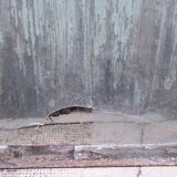 Workshop glass 207 x 141