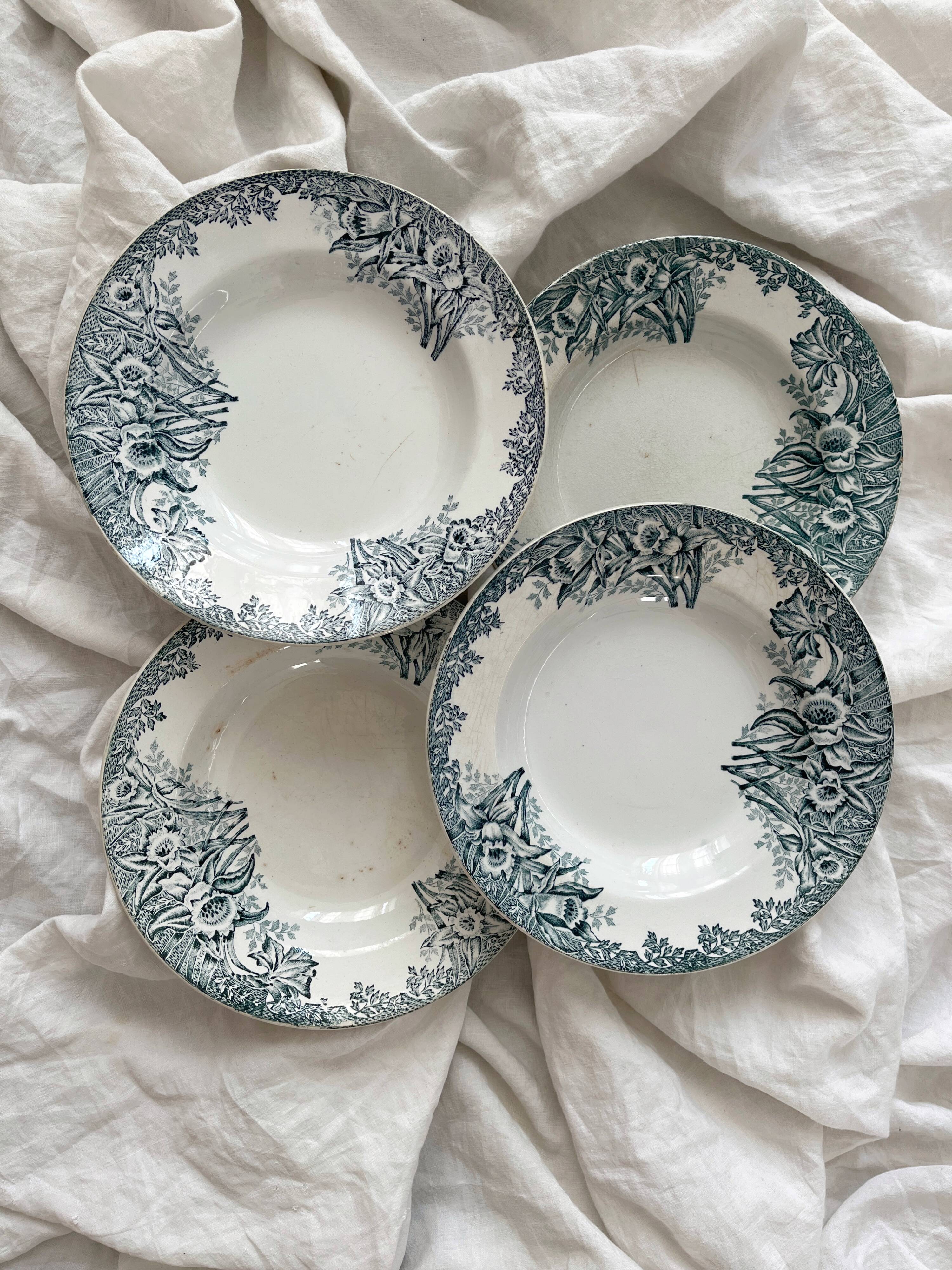 4 ironstone soup plates "Narcissus" Saint Amand A. Lebacqz & M. Bouchart