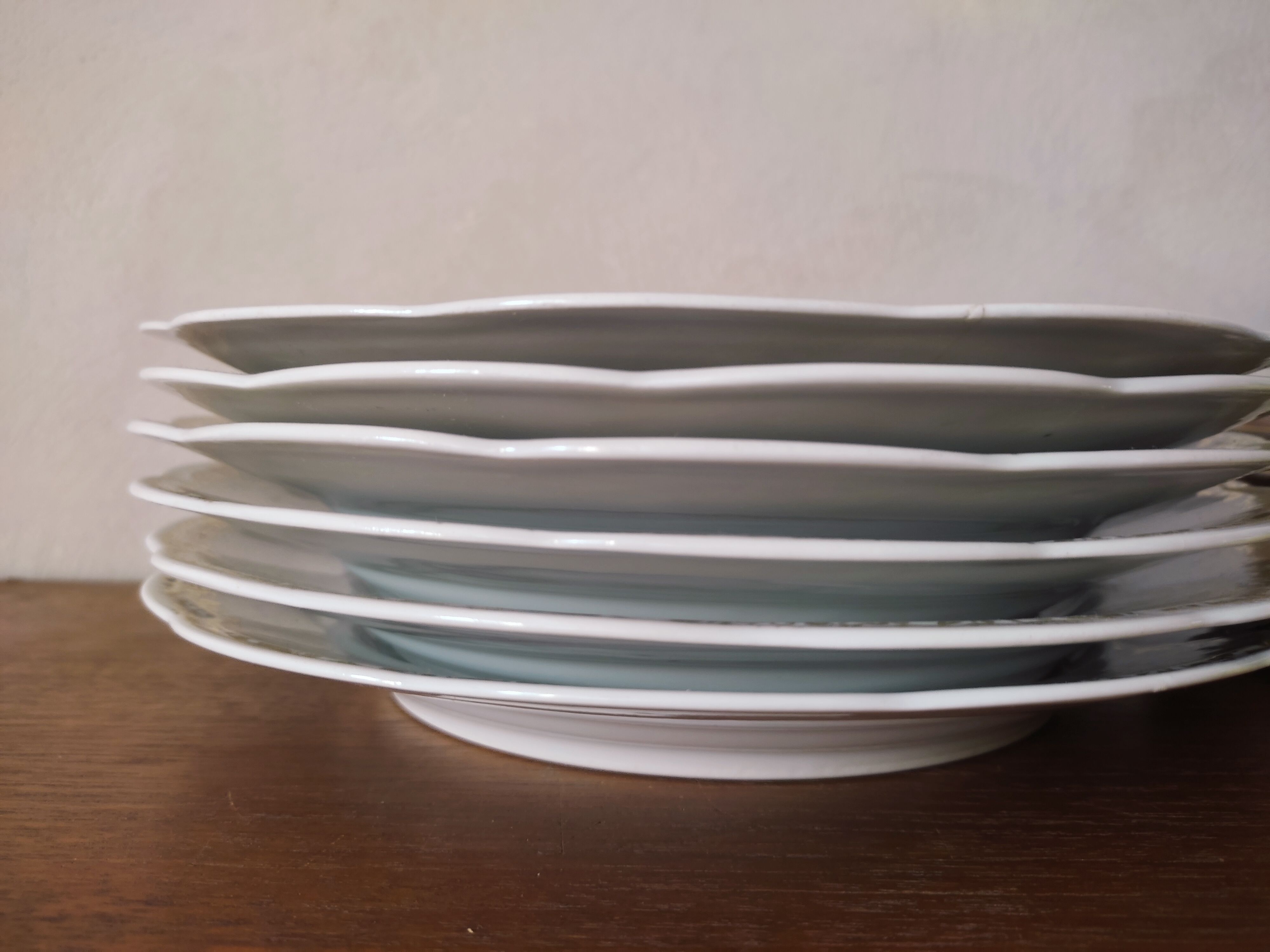 6 flat plates model bird of paradise