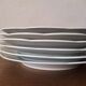 6 flat plates model bird of paradise