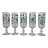 5 Arcopal Myosotis Veronica champagne flutes