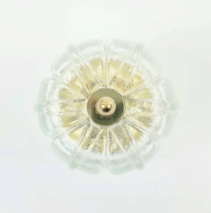 Mid-Century Modern Floral Glass & Brass Ceiling Light from Limburg, 1970s