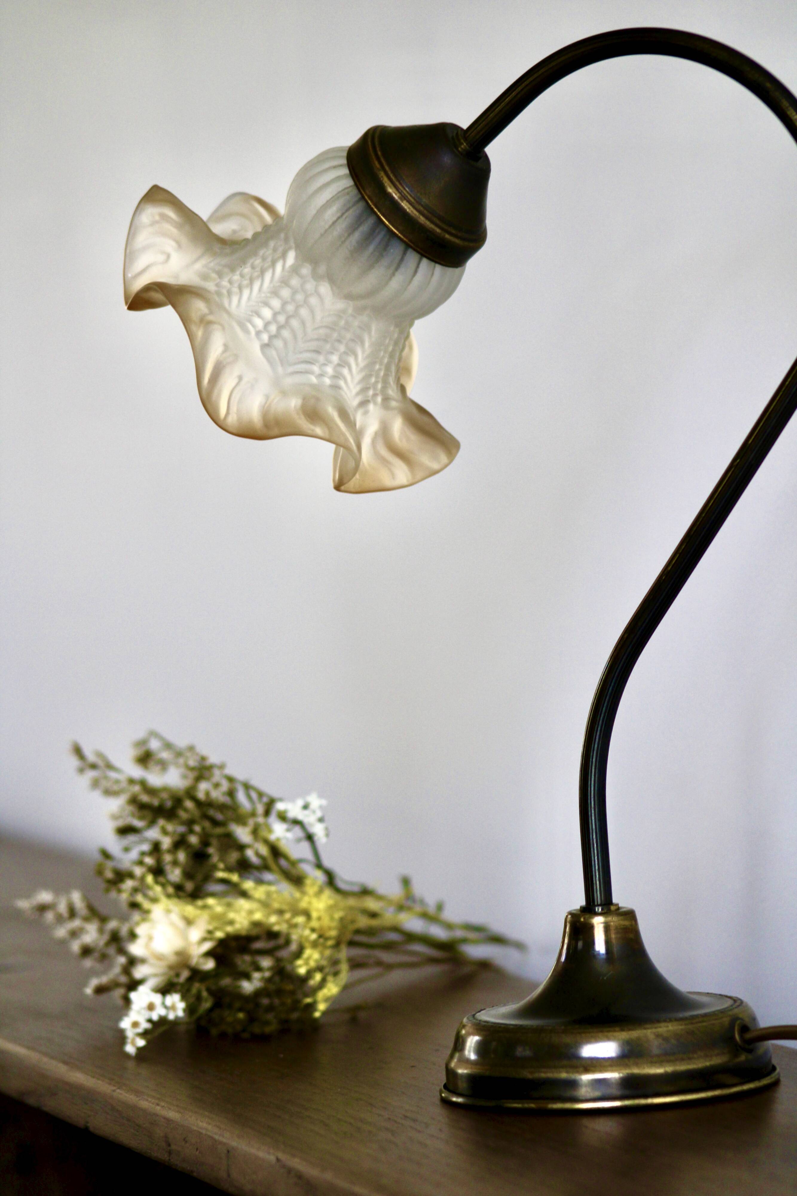 Delmas gooseneck lamp in brass with tulip globe