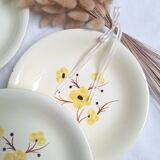 Vintage Salins deep plates