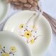Vintage Salins deep plates