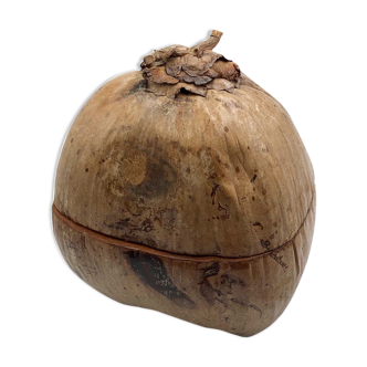 Coconut ice bucket