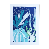 Illustration Fond Marin