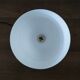 Lampe tulipe