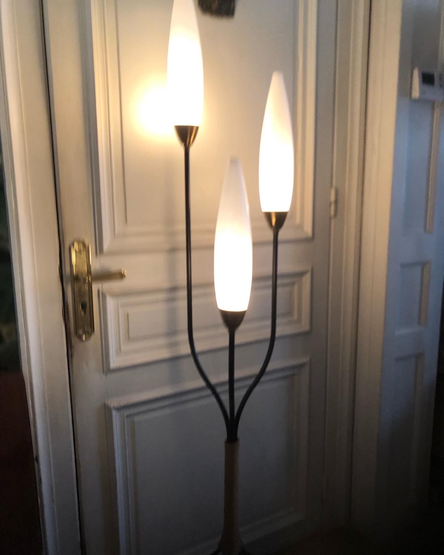 Metal and rope floor lamp and vintage opaline 50's