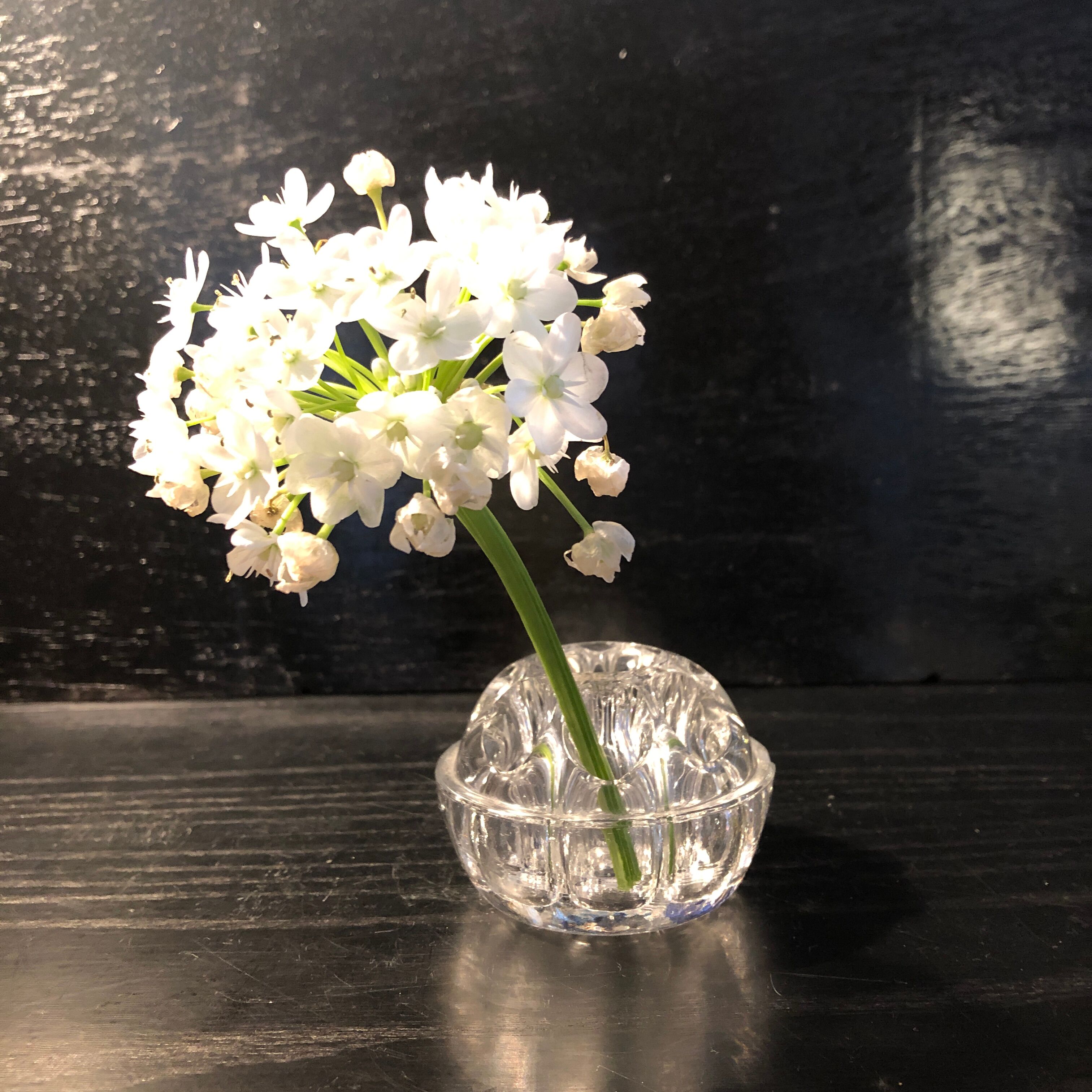 Pique flowers