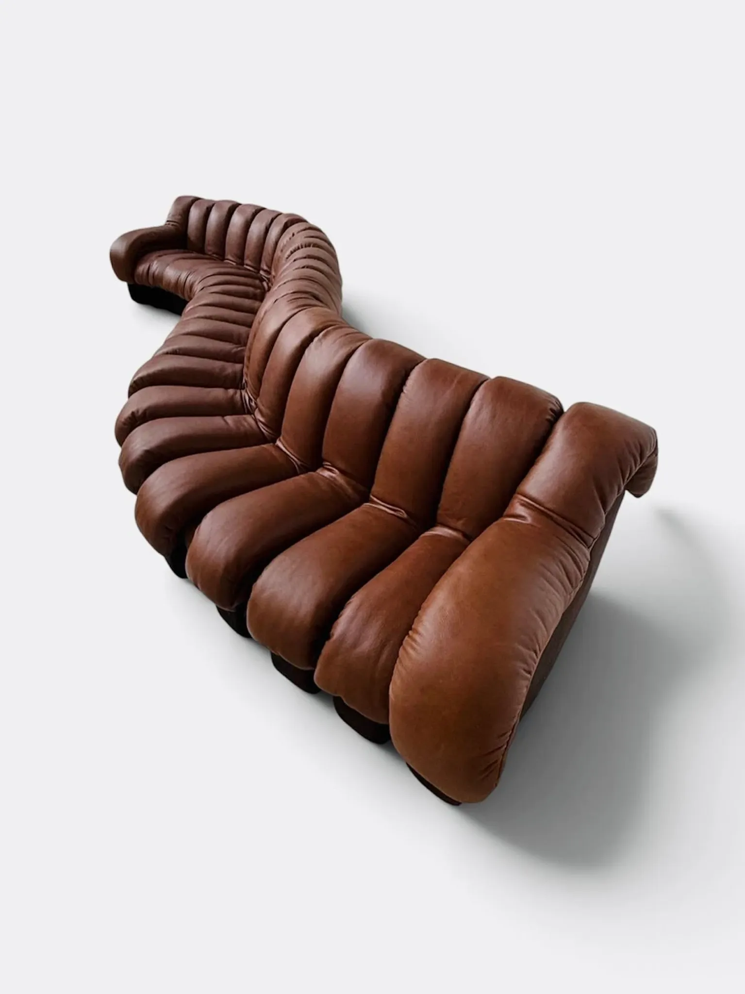 De Sede Ds600 Snake in cognac leather, 20 elements (in NEW CONDITION)!