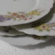 Antique porcelain plates