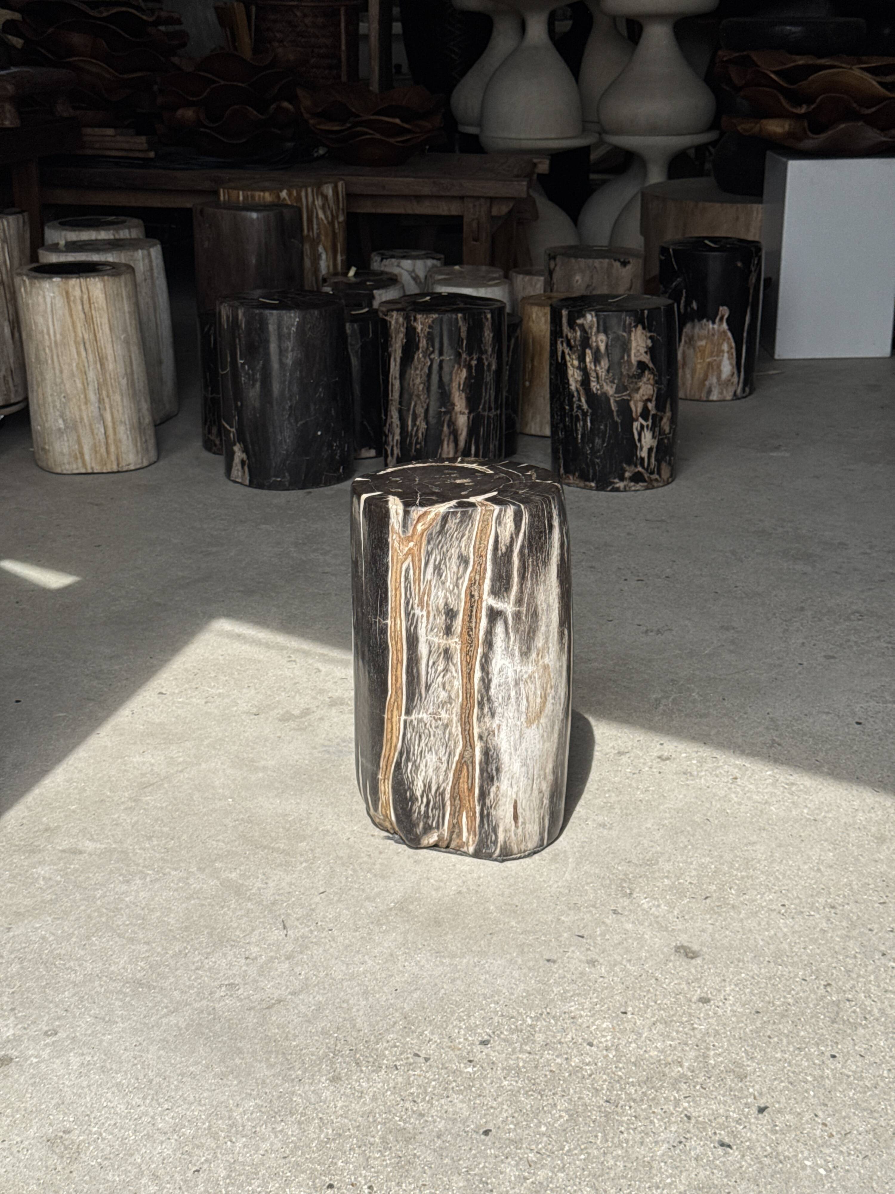 Table d'appoint en bois pétrifié noir
