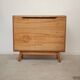 Cover chest, toy chest Landsman and Nepozitek Jitona.