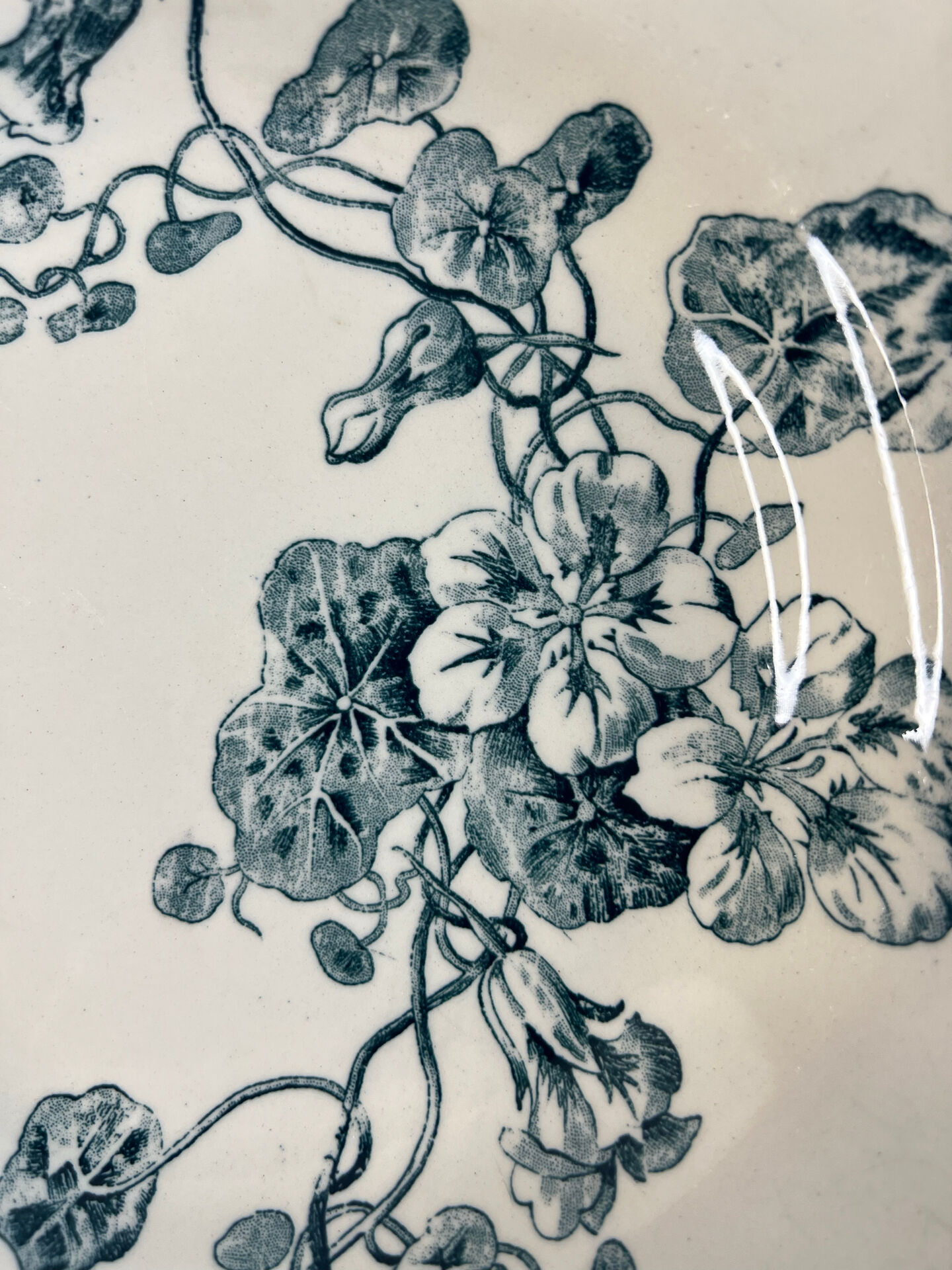 Gien terre de fer — capucine collection deep plate