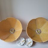 Duo of suspensions in rabane