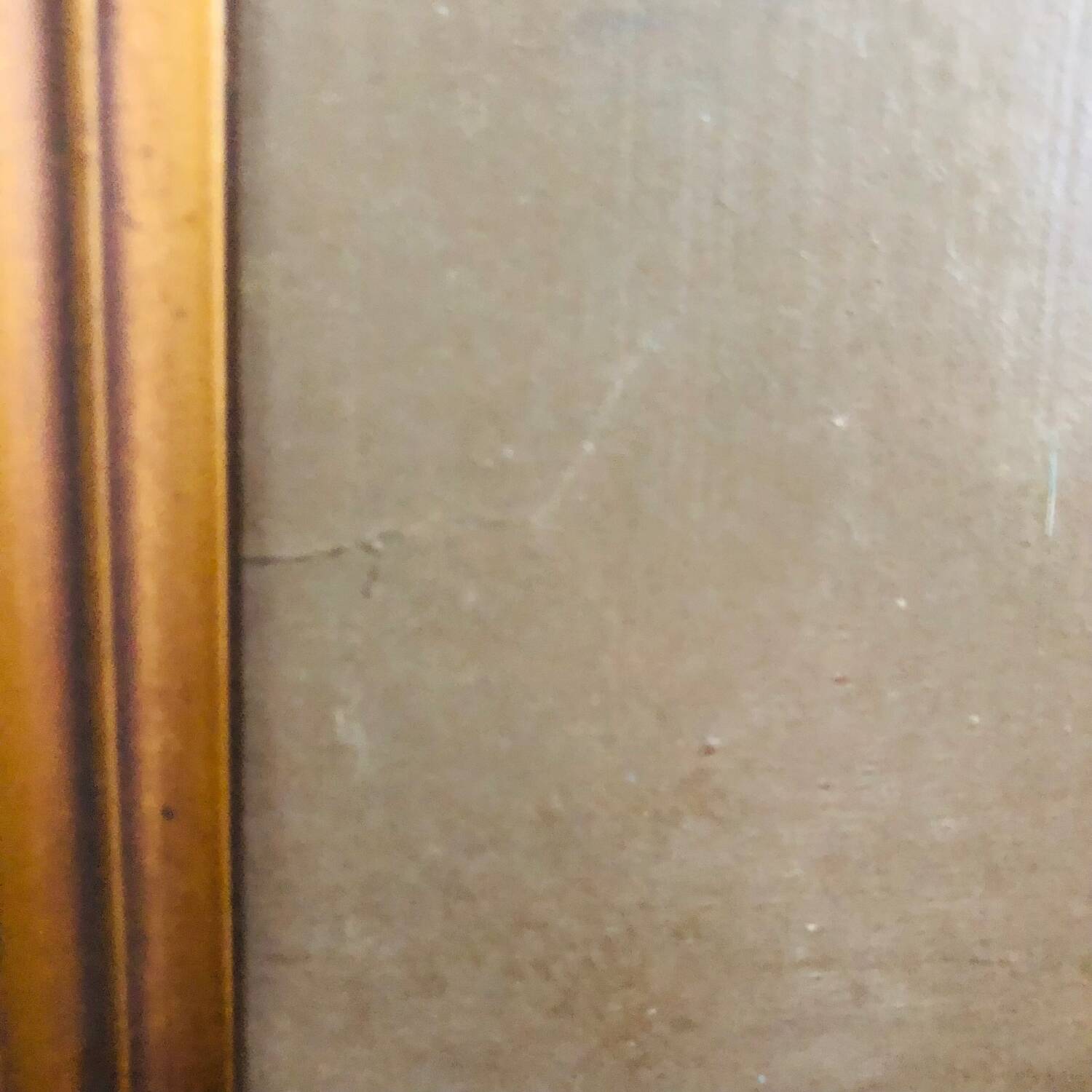 Portrait d’une jeune flamande