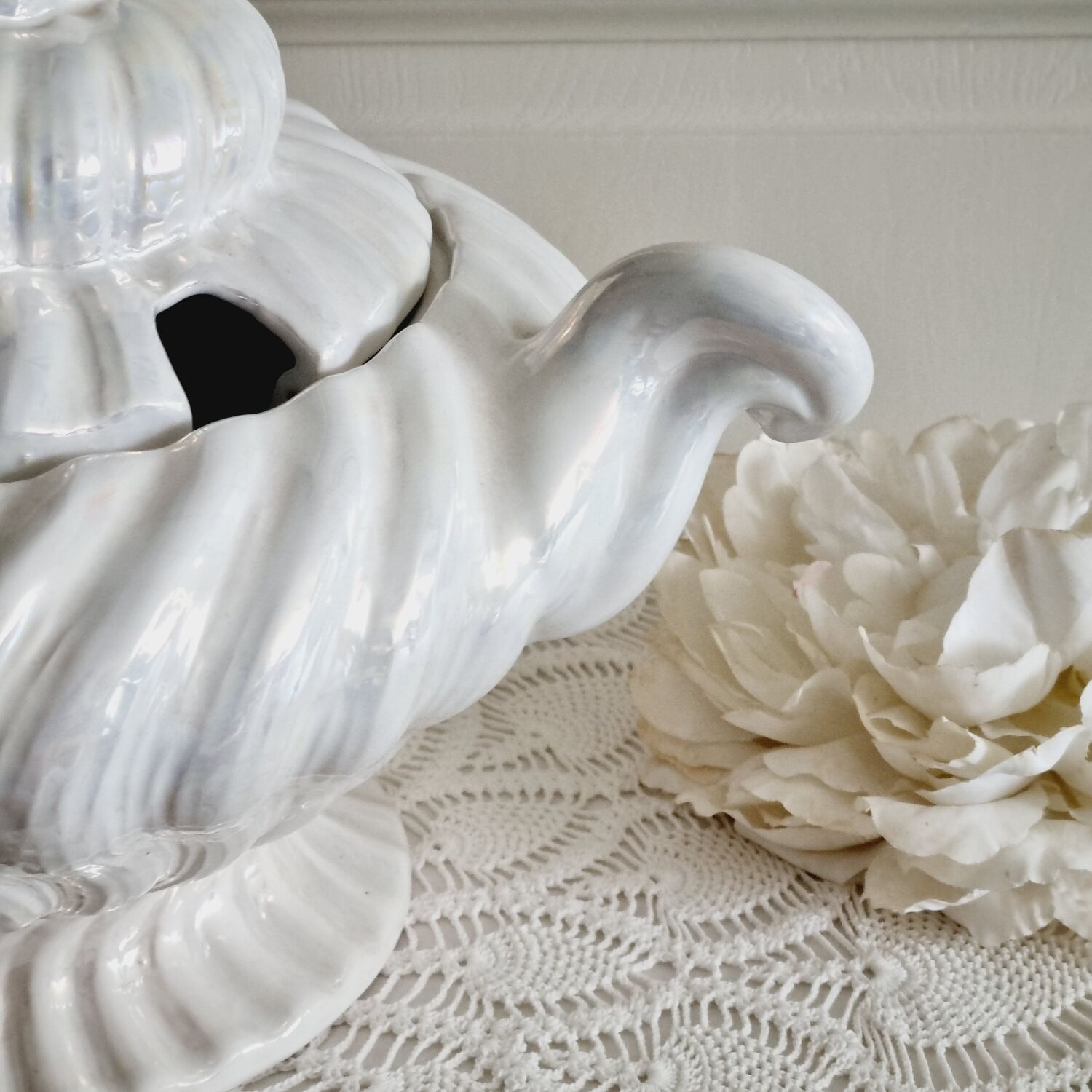 Shell tureen in slurry Portugal