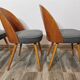 Dining Chairs by Antonin Suman, 1960s, Set of 4