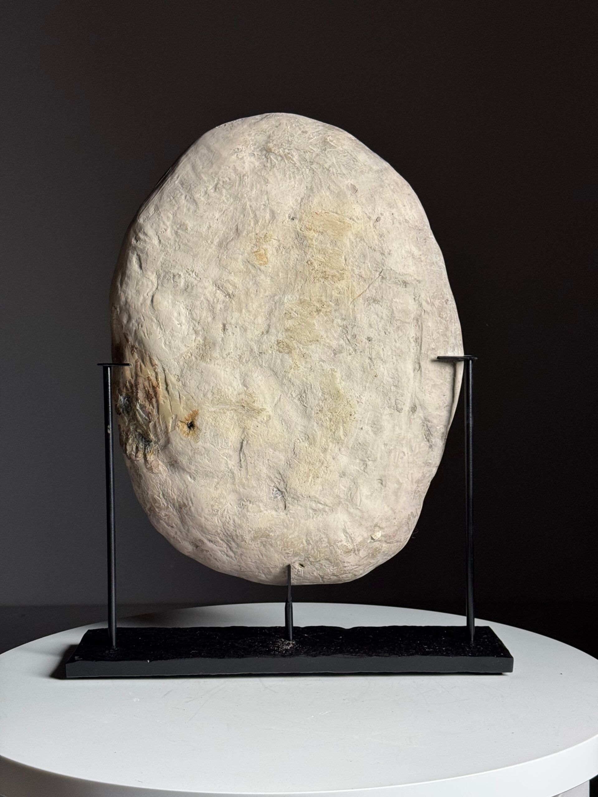 Septaria on custom stand