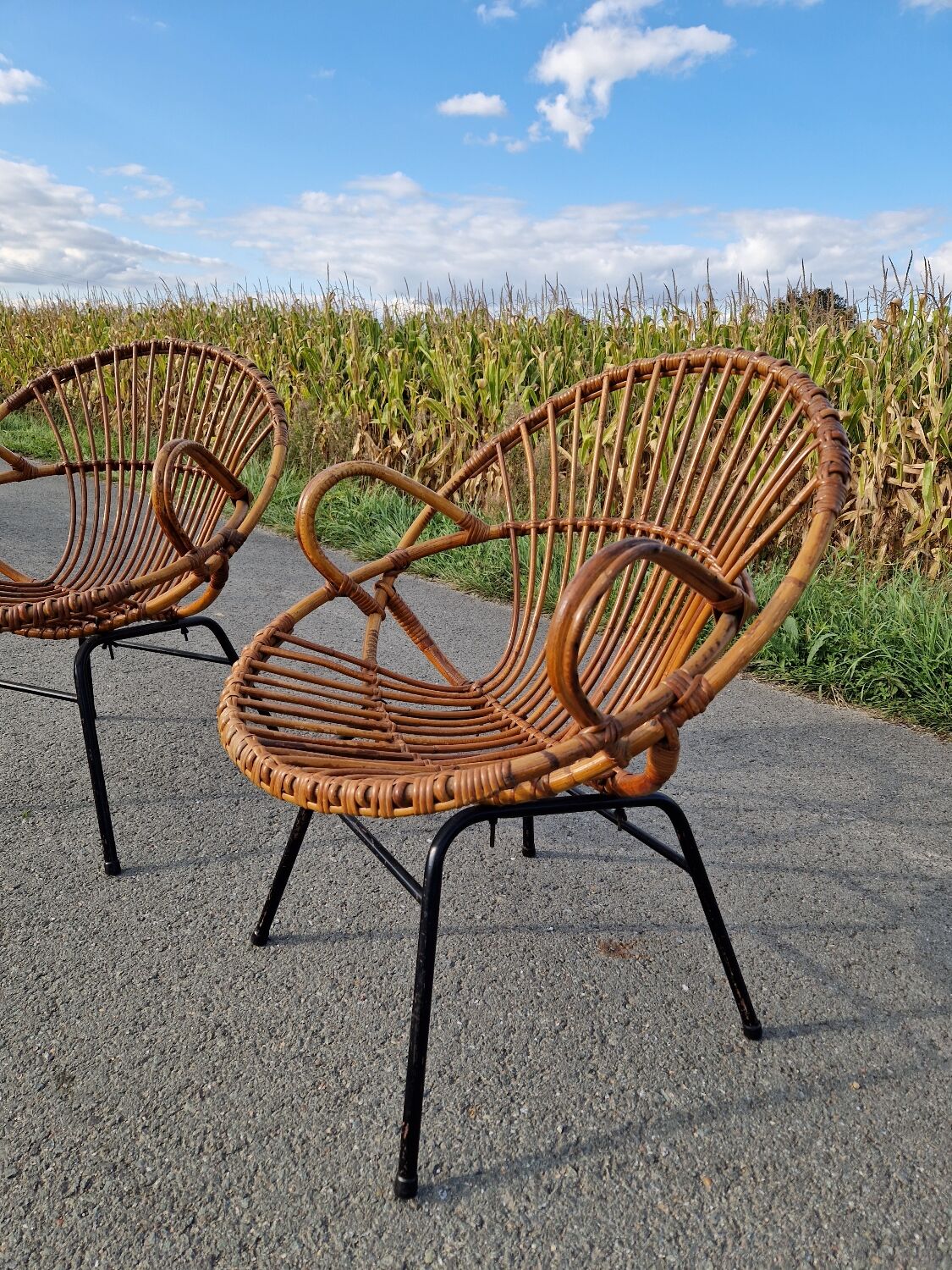 Set of 2 rattan armchairs